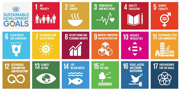 17 United Nations Sustainable Development Goals