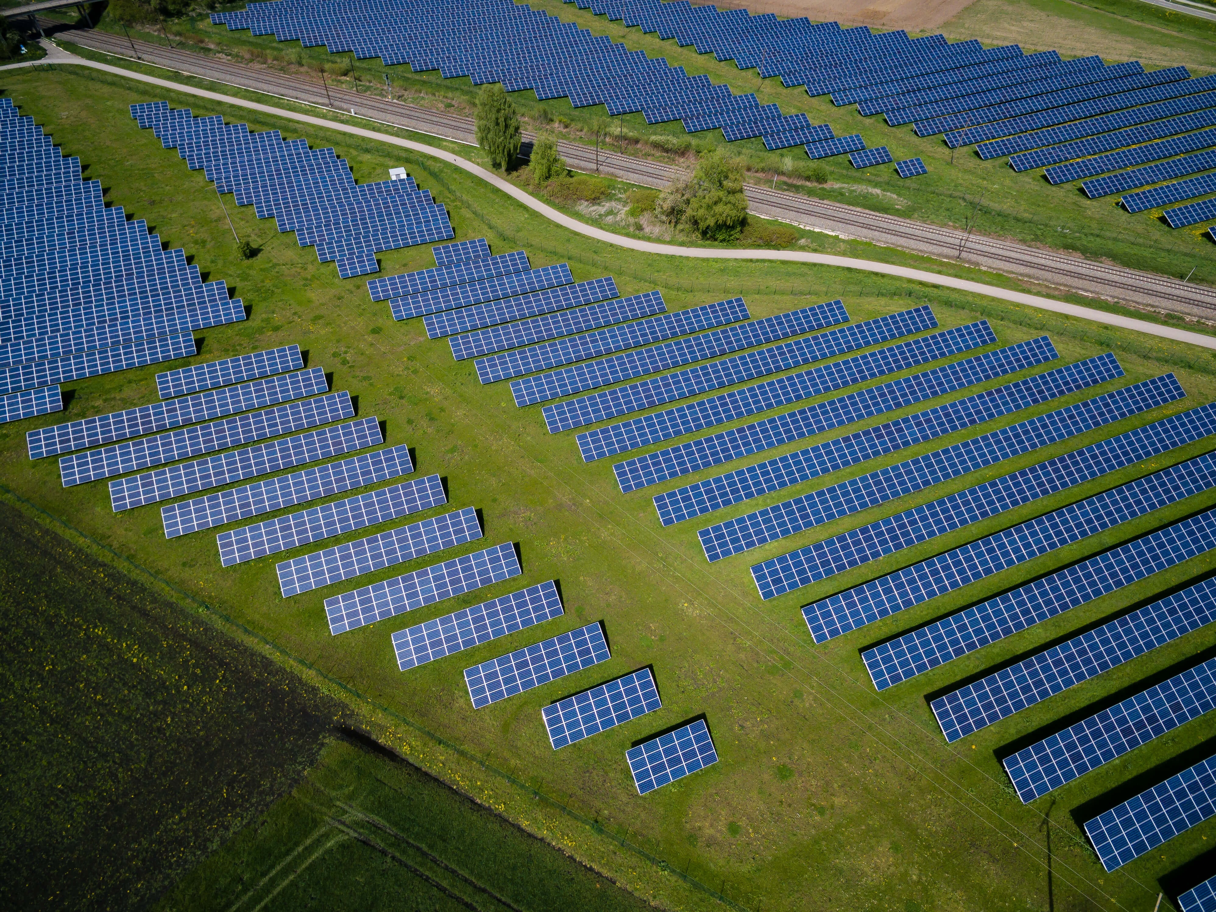 Rows of black solar panels in a green field