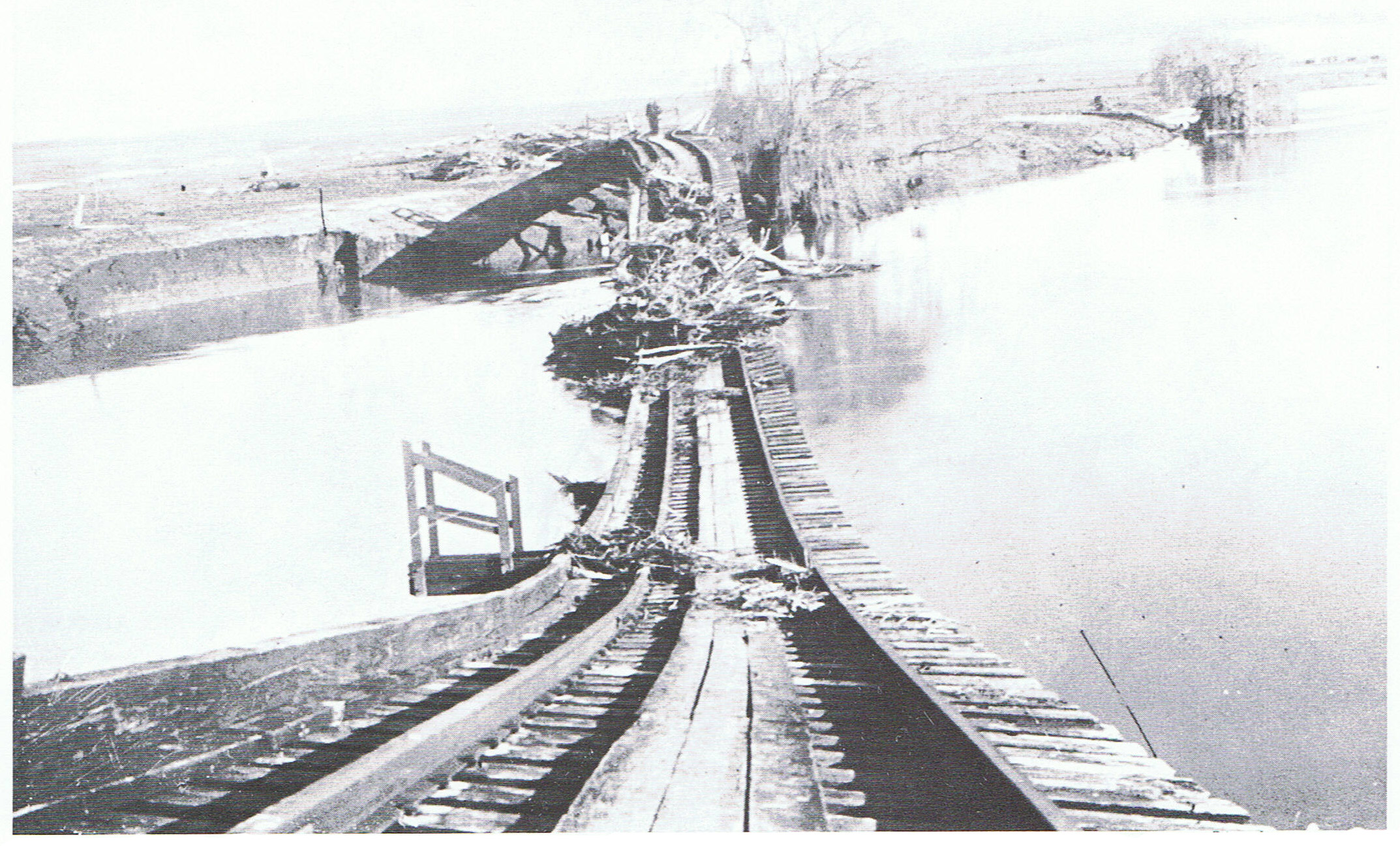 The molonglo bridge