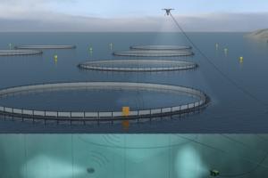 Engineers are looking to leverage robotics technology in the aquaculture sector, making it possible to regulate facilities from onshore.