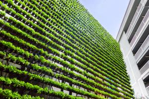 Image of a sustainable building with a vertical garden